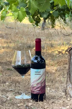 Cristina Oria Gadgets De Vino|Cajas Y Bolsas Gourmet^Caja Vino & Gadgets