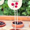 Cristina Oria Huerto Y Jardinería^Cartel Para Plantas De Jardín Tomates
