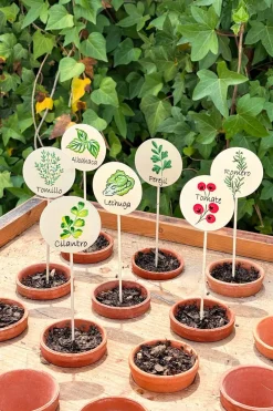 Cristina Oria Huerto Y Jardinería^Cartel Para Plantas De Jardín Perejil