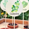 Cristina Oria Huerto Y Jardinería^Cartel Para Plantas De Jardín Cilantro