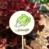 Cristina Oria Huerto Y Jardinería^Cartel Para Plantas De Jardín Lechuga