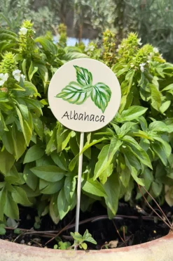 Cristina Oria Huerto Y Jardinería^Cartel Para Plantas de Jardín Albahaca