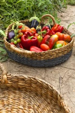 Cristina Oria Cestas Y Bolsas De Pan|Accesorios De Mesa^Cesta De Mimbre Bicolor