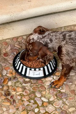 Cristina Oria Accesorios Para Mascotas^Comedero Para Mascotas Pintado A Mano Blanco Y Negro