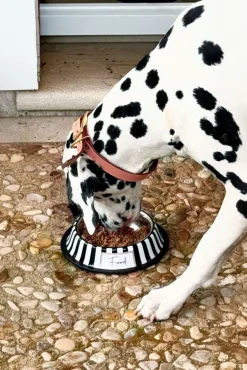 Cristina Oria Accesorios Para Mascotas^Comedero Para Mascotas Pintado A Mano Blanco Y Negro