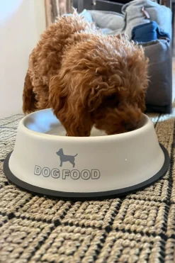 Cristina Oria Accesorios Para Mascotas^Comederos para Perros