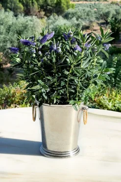 Cristina Oria Cubiteras Y Champaneras^Cubitera Plateada Con Arandelas De Ratán