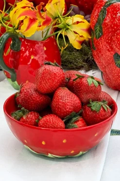 Cristina Oria Fuentes, Ensaladeras Y Cuencos^Cuenco Diseño Fresa