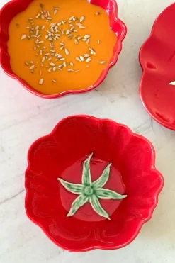 Cristina Oria Fuentes, Ensaladeras Y Cuencos^Cuenco Diseño Tomate