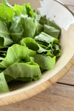 Cristina Oria Fuentes, Ensaladeras Y Cuencos^Ensaladera De Madera Crema