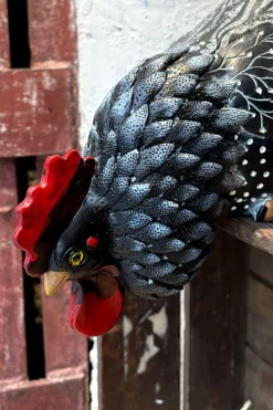 Cristina Oria Piezas Decorativas^Figura Decorativa Gallina Comiendo