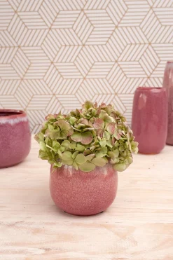 Cristina Oria Jarrones, Floreros Y Maceteros^Florero Cerámica Redondo Rosado Pequeño