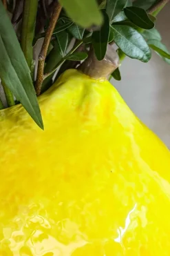 Cristina Oria Jarrones, Floreros Y Maceteros^Florero Con Diseño De Limón Grande