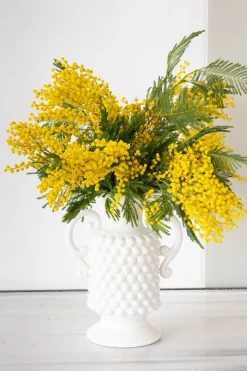 Cristina Oria Jarrones, Floreros Y Maceteros^Jarrón De Porcelana Blanco Con Diseño En Relieve Y Asas