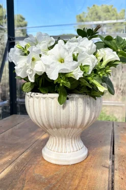 Cristina Oria Jarrones, Floreros Y Maceteros^Jarrón Diseño Copa De Porcelana Blanco Roto Grande