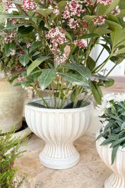 Cristina Oria Jarrones, Floreros Y Maceteros^Jarrón Diseño Copa De Porcelana Blanco Roto Grande