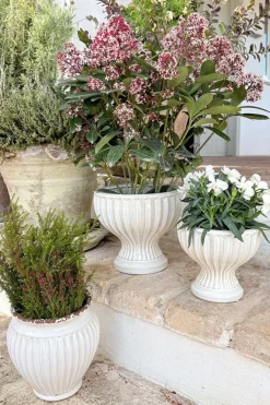 Cristina Oria Jarrones, Floreros Y Maceteros^Jarrón Diseño Copa De Porcelana Blanco Roto