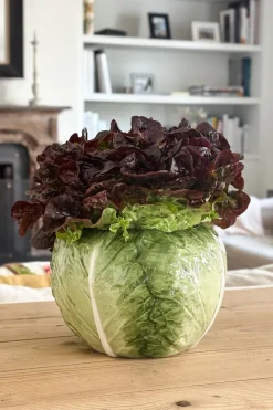 Cristina Oria Jarrones, Floreros Y Maceteros^Jarrón Diseño Lechuga Ancho