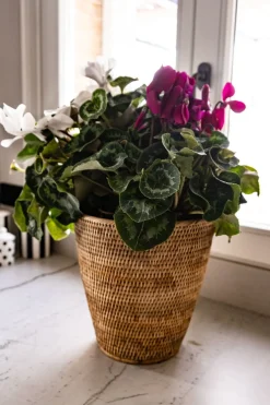 Cristina Oria Jarrones, Floreros Y Maceteros^Macetero De Ratán