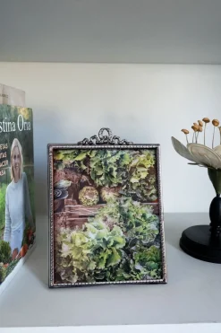 Cristina Oria Marcos De Fotos^Marco De Fotos Plateado