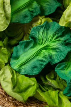 Cristina Oria Minichef^Mordedor Para Bebés Con Diseño De Kale