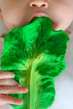 Cristina Oria Minichef^Mordedor Para Bebés Con Diseño De Kale