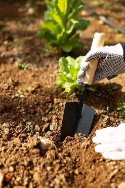Cristina Oria Huerto Y Jardinería^Pala De Acero Y Madera Para Plantación