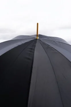 Cristina Oria Paraguas^Paraguas Pasotti Negro Con Interior De Flor Dorada