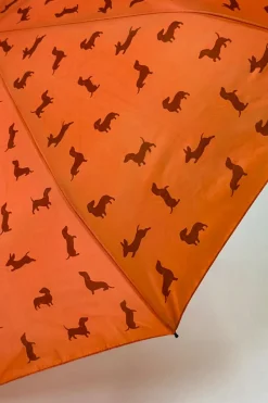 Cristina Oria Paraguas^Paraguas Teckel Marrón