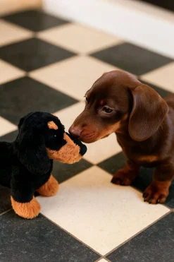 Cristina Oria Minichef^Peluche Teckel CO