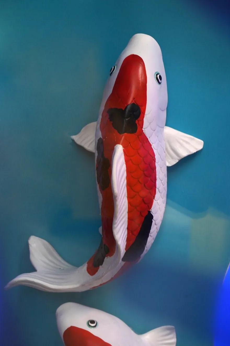 Cristina Oria Piezas Decorativas^Pez Koi De Decoración Alargado