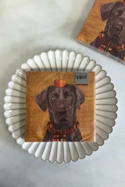 Cristina Oria Servilletas Y Accesorios^Servilletas Perro & Calabaza Grandes