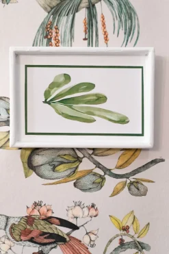 Cristina Oria Cuadros^Set 4 Cuadros Con Diseño De Hojas Verdes