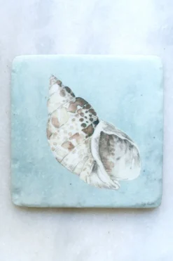 Cristina Oria Posavasos Y Servilleteros^Set 4 Posavasos De Mármol Diseño Conchas