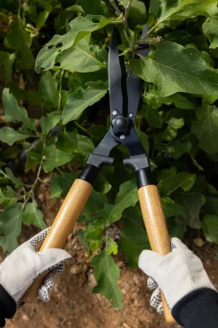 Cristina Oria Huerto Y Jardinería^Tijeras Cortasetos De Acero Y Madera