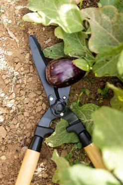 Cristina Oria Huerto Y Jardinería^Tijeras Cortasetos De Acero Y Madera