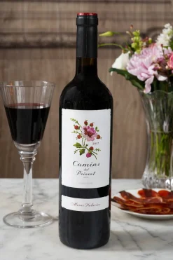 Cristina Oria Vinos Y Champagnes^Vino Camins Del Priorat 2017